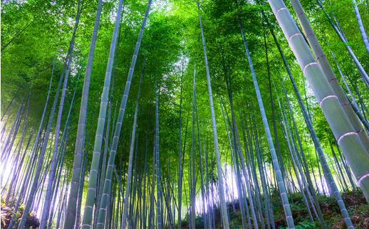 建筑楼板开裂,建筑工程楼板裂缝问题分析