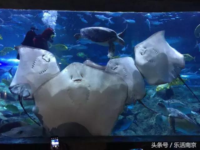 南京下雨天气能去游玩吗,在南京千万不要去的地方