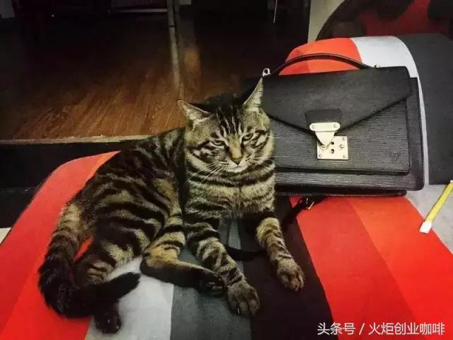 年销售8000万企业,年销售额7000万