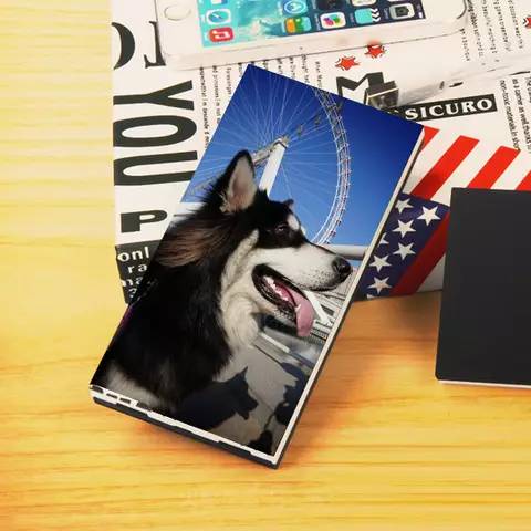 一颦一笑都是你！萌宠周边设计好推荐