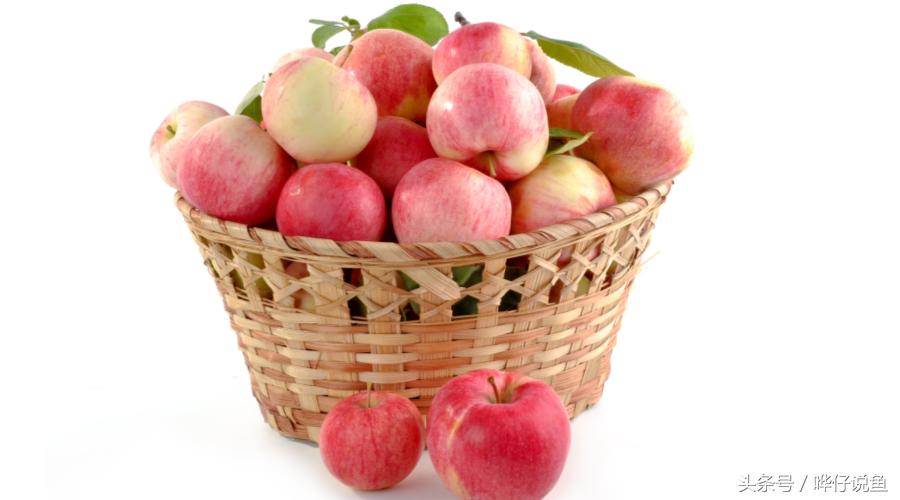 该给锦鲤喂什么,一冬天只给锦鲤喂水果好吗