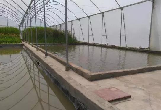 亚洲最大的玫瑰花基地在哪里,世界最著名玫瑰基地