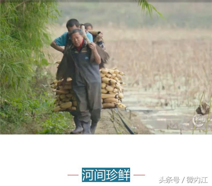 隆昌市创建天府旅游名县有望吗,内江市隆昌市第一大镇是哪里