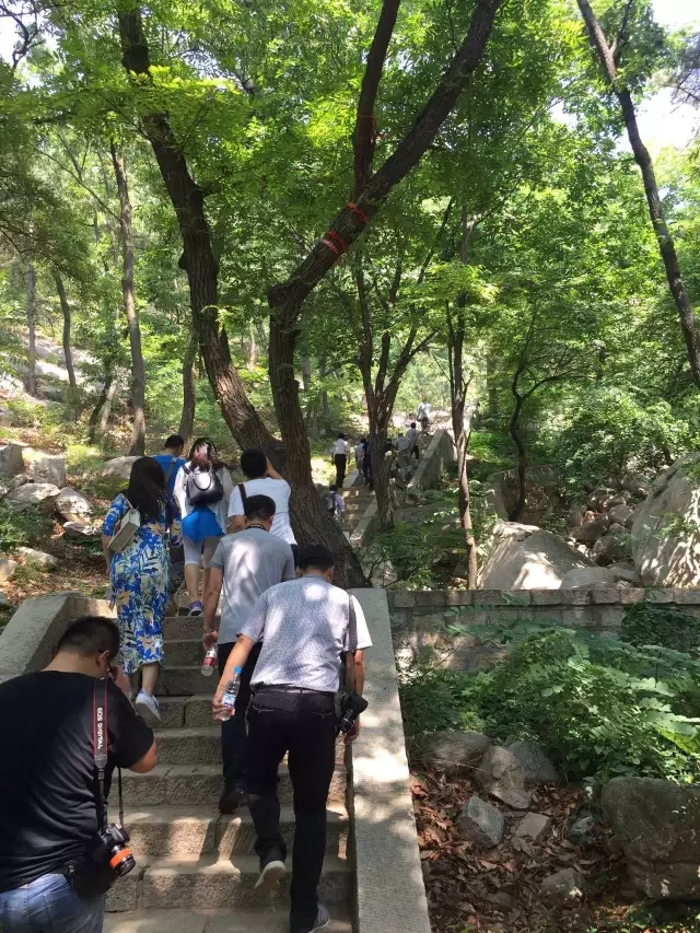 2022年新泰莲花山庙会,泰安莲花山庙会