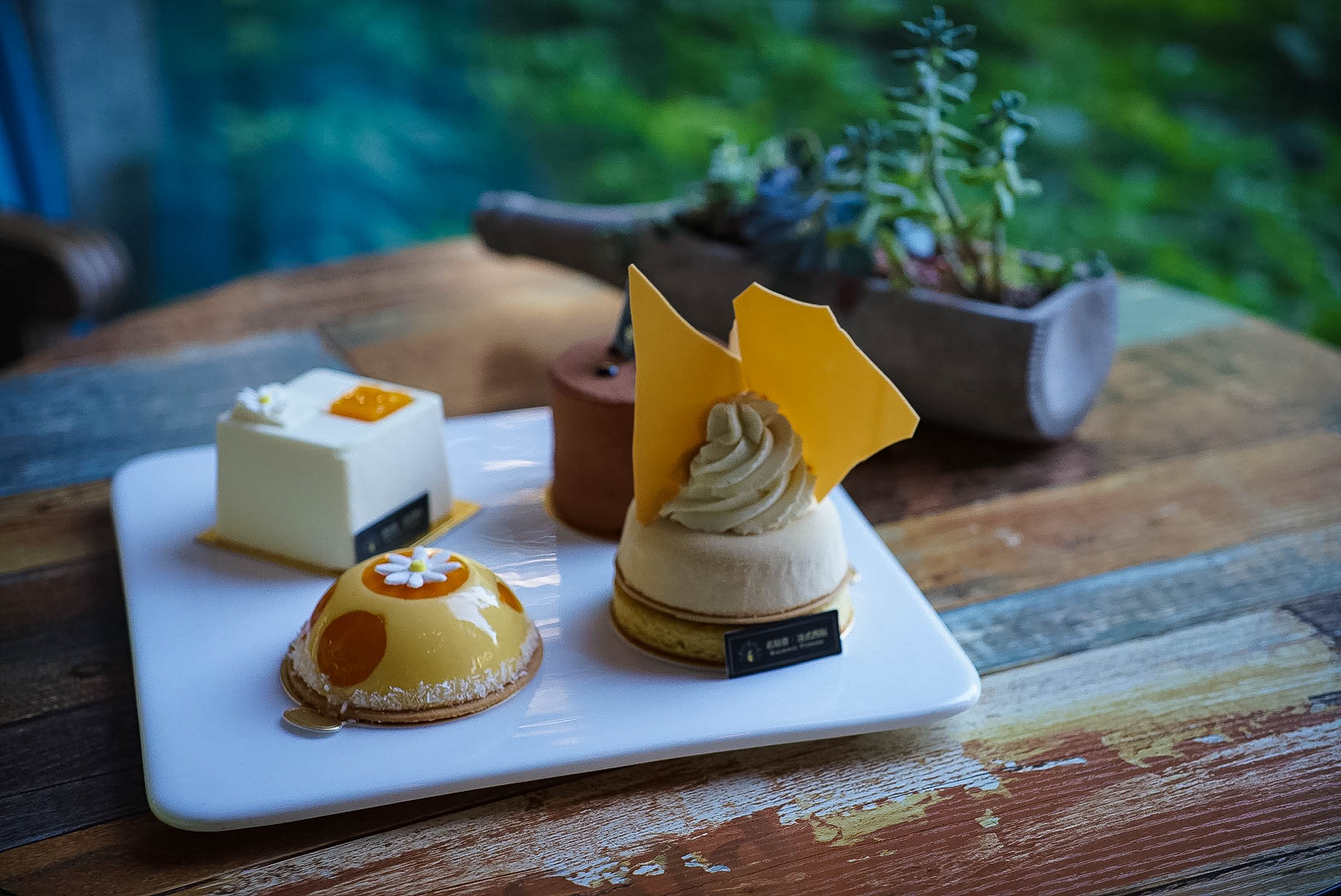 火爆Instagram的美食界艺术品，竟然在厦门……