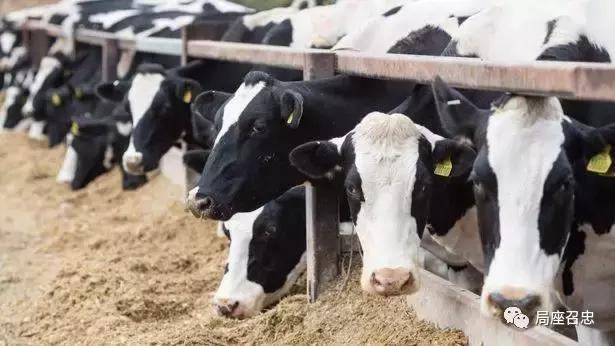 卡塔尔断交风波越闹越凶，最后还是波及到我们了