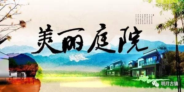 乡镇开展最美庭院评选工作,夏季美丽庭院评选活动图片