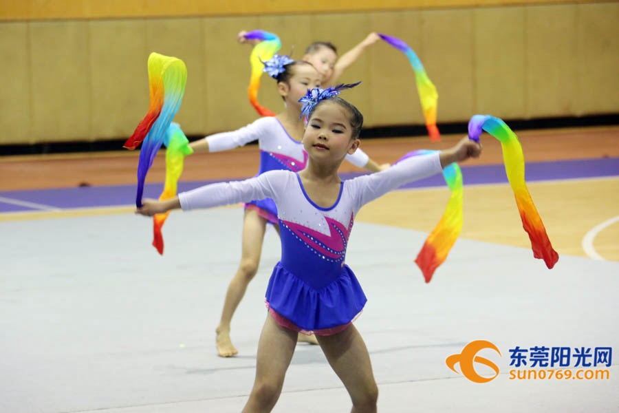 第九届东莞市市运会,2022东莞市体操锦标赛