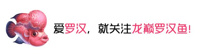 怎么增强鱼缸吸便能力,鱼缸鱼便吸不干净