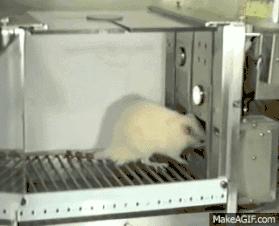 赌瘾来了是怎么一回事呢,赌瘾到底是什么病