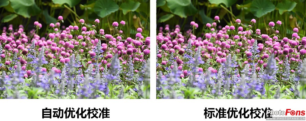 尼康d7500实拍测评,尼康d7500配50-1.8镜头拍什么最好