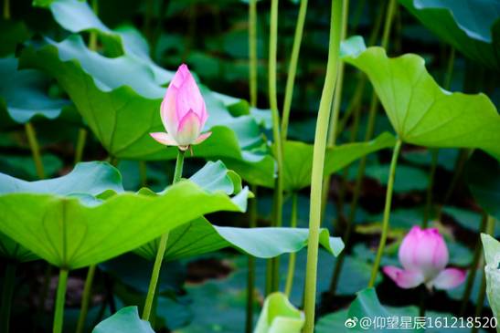 周末一日游详细攻略 (周末带你去旅行攻略)