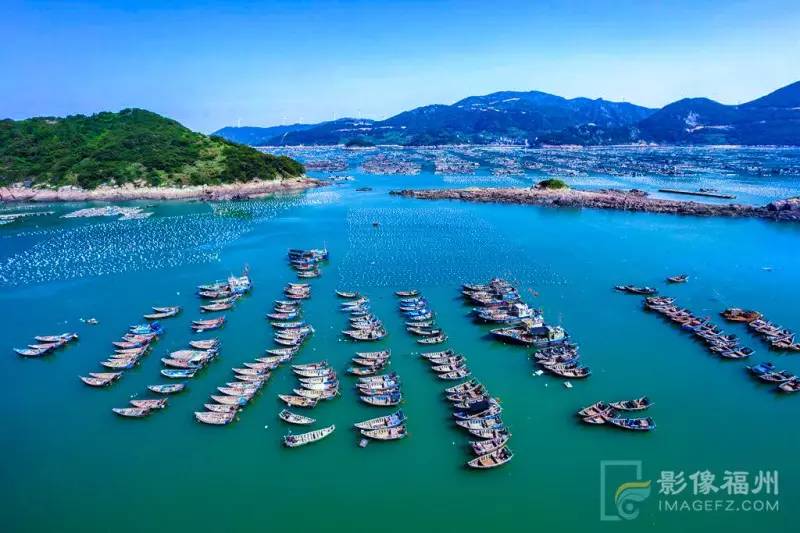 游茶山,游茶山竹海