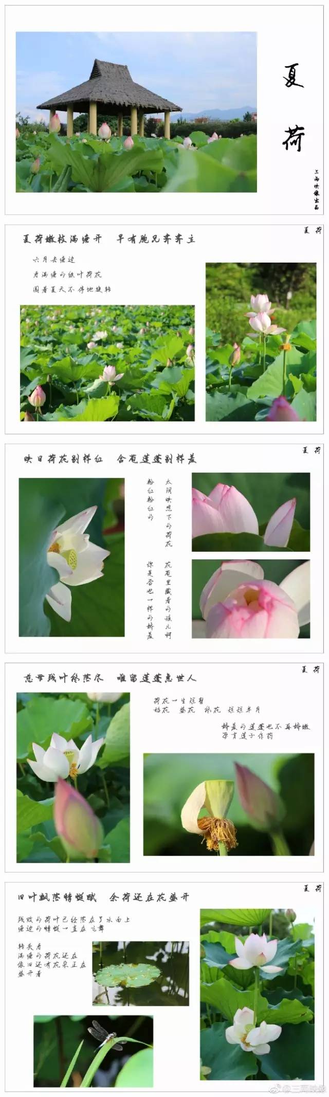 周末一日游详细攻略 (周末带你去旅行攻略)