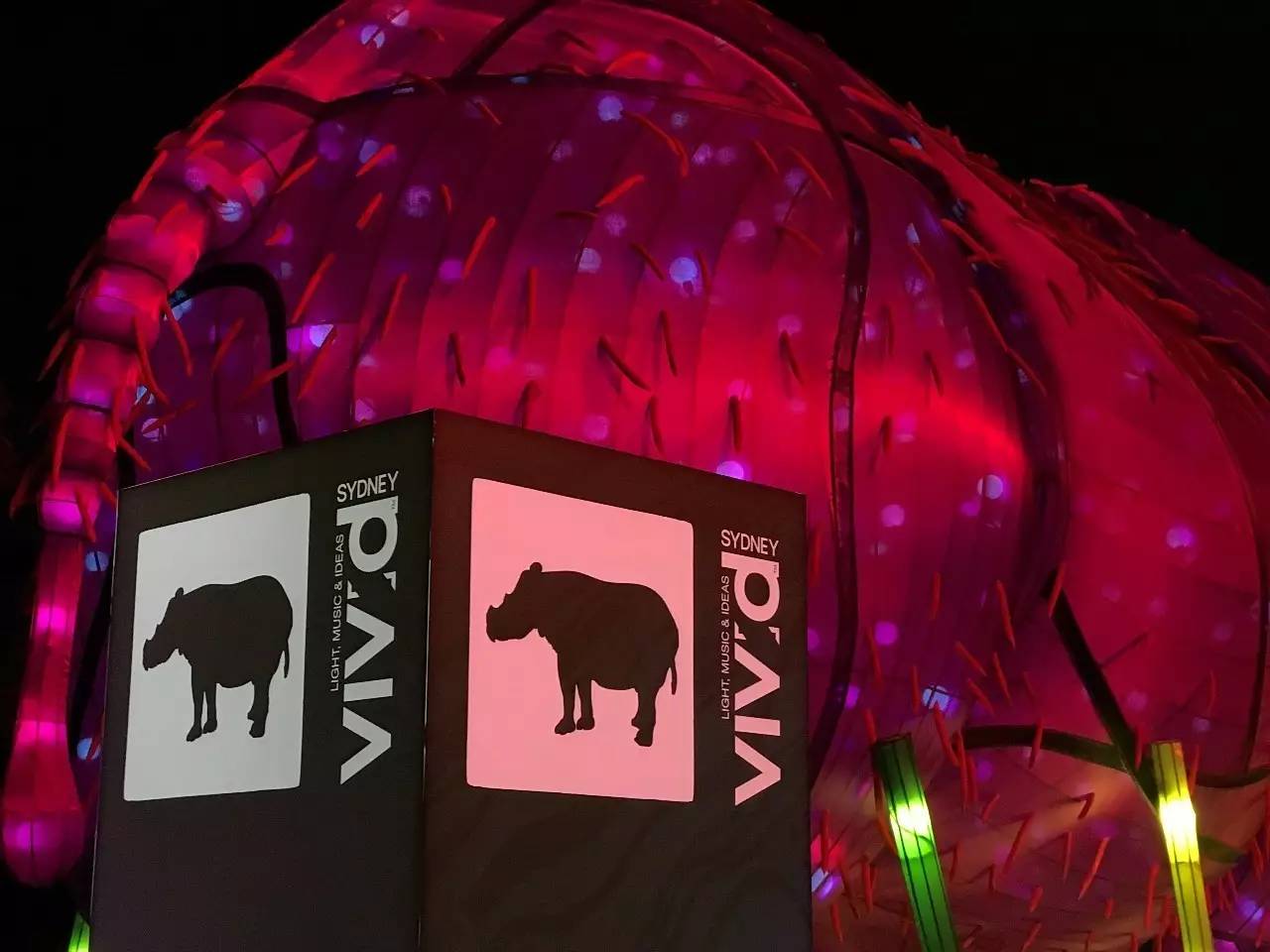 当一只“反季候鸟“,直飞到悉尼过冬天买UGG,是成都人今年暑假新玩法!