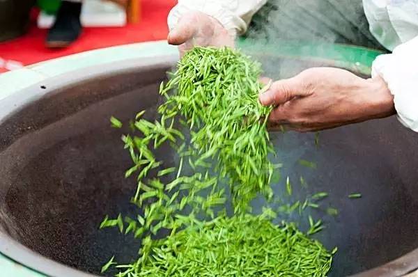 房山采摘节,2023年五峰采茶节