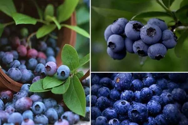 青岛特色小镇,青岛老城区打造