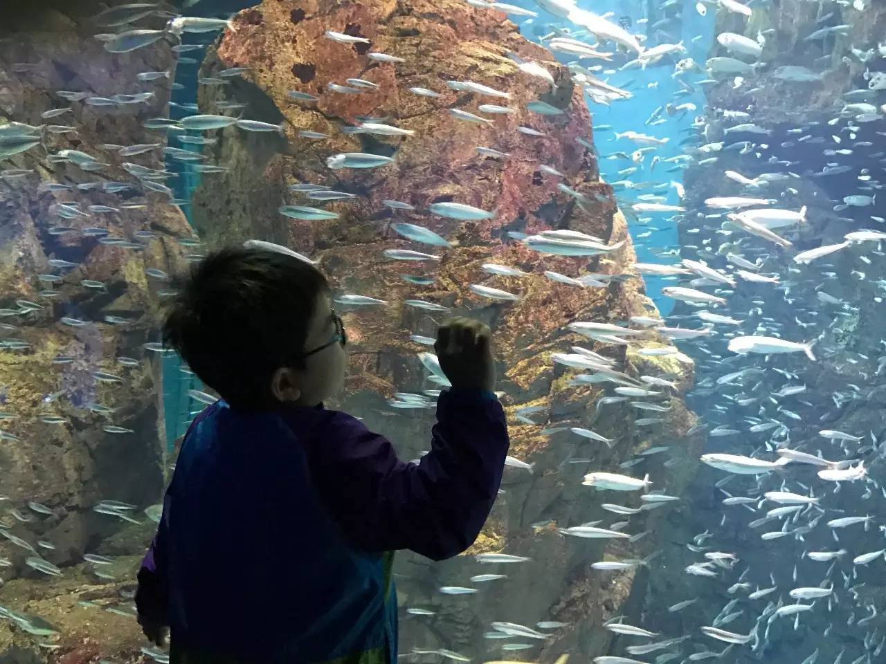 暑期日本之旅,暑假日本旅游攻略