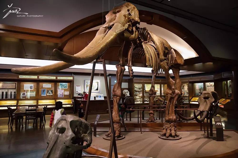 暑期日本之旅,暑假日本旅游攻略