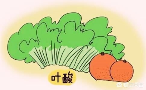 备孕期间女性食谱,备孕妇女的饮食套餐