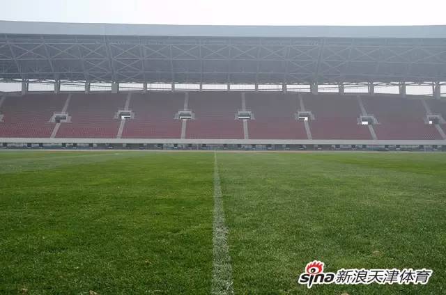 权健最新套票,权健套票