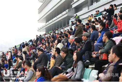 武汉赛马比赛时间表,2017全国速度赛马公开赛直播