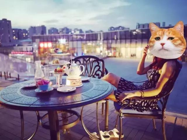 北京值得去的性价比好店,京城最值得去的餐厅