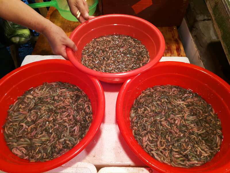 福建恐怖食物,福建十大恐怖美食