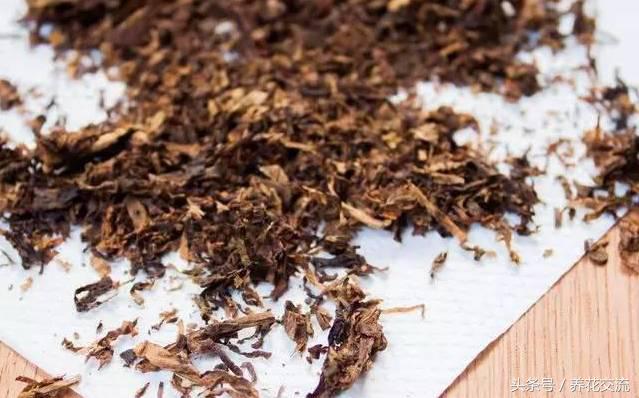 花卉驱蚊虫最好的方法,盆栽花卉如何除虫