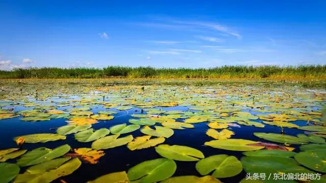 夏季黑龙江最美景区,黑龙江避暑最佳城市