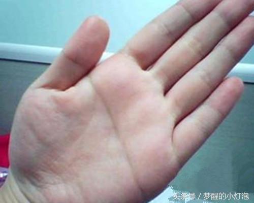 手相三条掌纹代表啥运势,据说手相的掌纹决定你今后的命