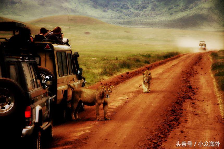 小众旅游地探索攻略,坦桑尼亚游猎攻略