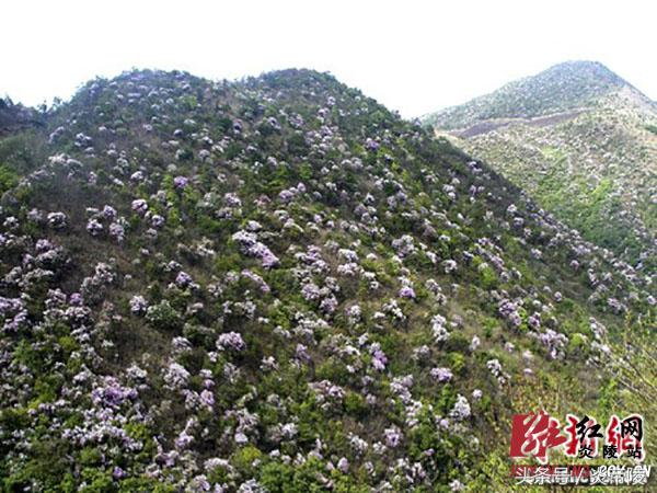 美丽炎陵，一个您想要去而一定要去的地方