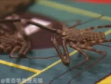 没有打火机怎么点烟的大神们,如何帅气的用打火机点烟