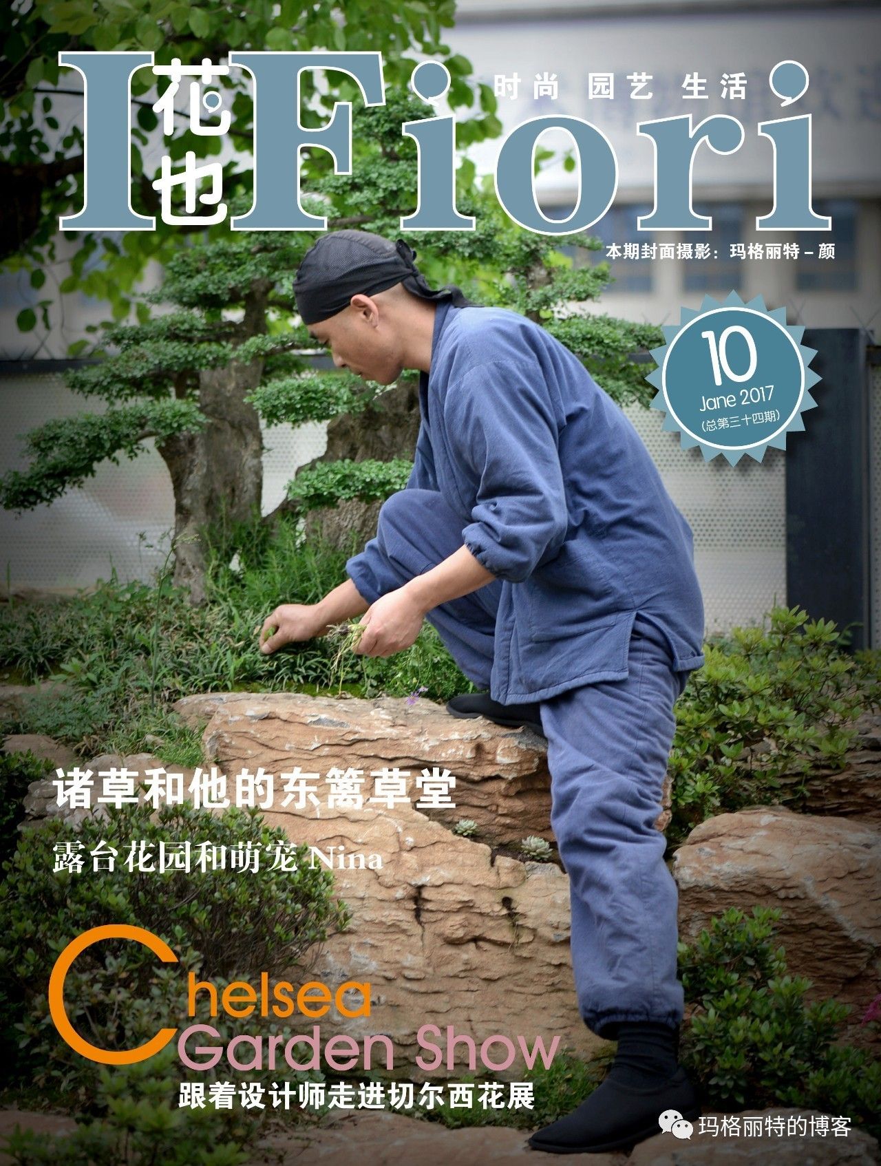 鎷滆涓滅鑽夊爞,鑺卞洯鎷滆