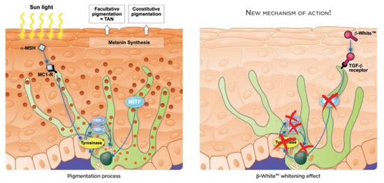 美白高科技测评,好用的黑科技美白产品