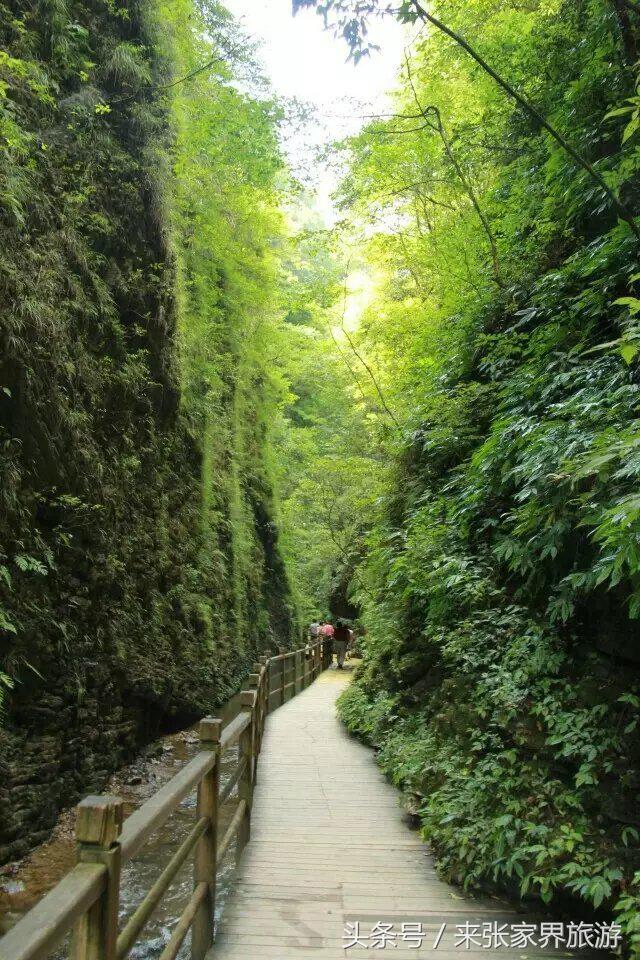 张家界旅游攻略天门山二日游费用,张家界大峡谷玻璃桥自由行