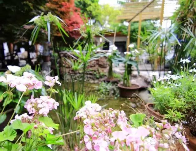 毕业旅行之丽江大理游,大理丽江毕业旅行