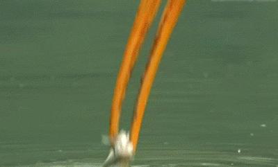 搞笑gif趣图这是真把姑娘惹怒了啊,三个二货搞笑图片