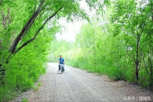 都说台湾民宿有特色，现在，昌吉也有了这样的好地方，它的名字叫芸农庄