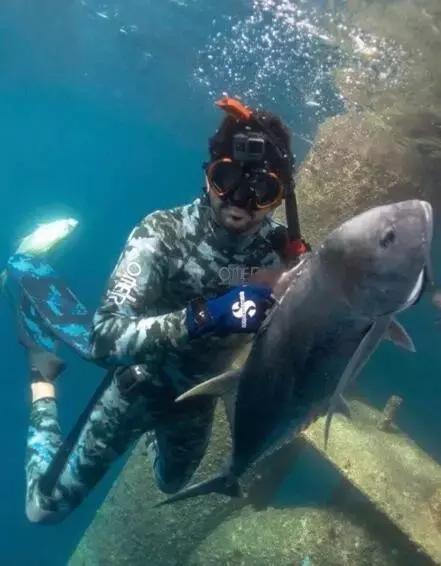 沙特最帅王子哈曼丹,阿联酋王子哈曼丹照片