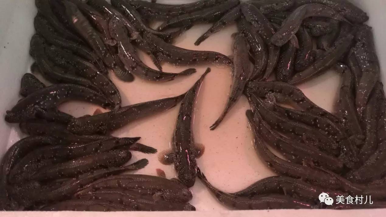 味道深圳寻味香港一起香江叹茶