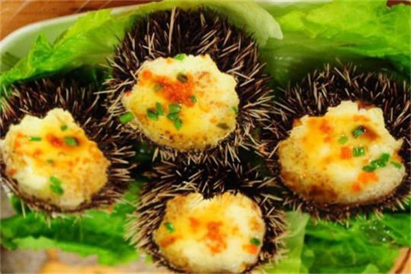 蜜月自驾游攻略视频,自驾游五天四晚自由行攻略