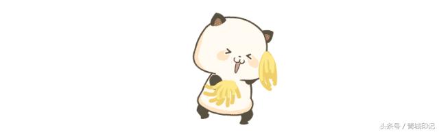 呼和浩特柔道大奖赛,全国柔道公开赛