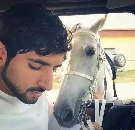 沙特最帅王子哈曼丹,阿联酋王子哈曼丹照片