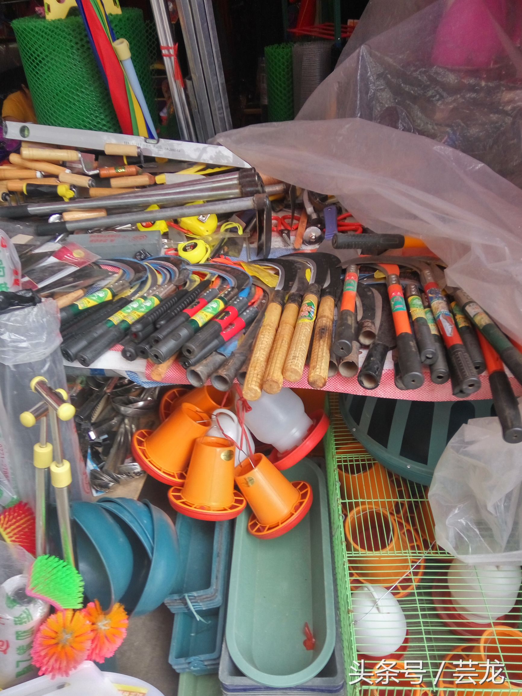 你有没有厌倦在外面打工了？有种想回老家创业做点小生意的想法！现在带你盘点时下最受农民欢迎的产品