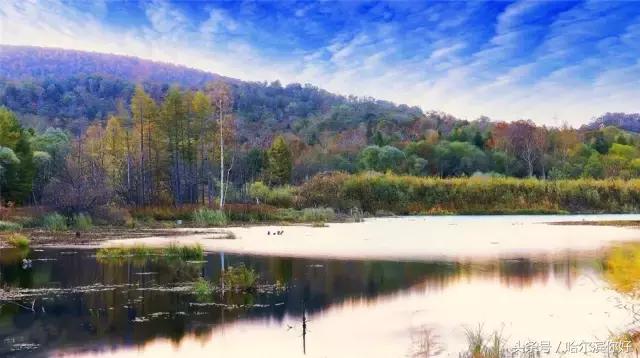 哈尔滨尚志未来5年规划,哈尔滨尚志最新规划