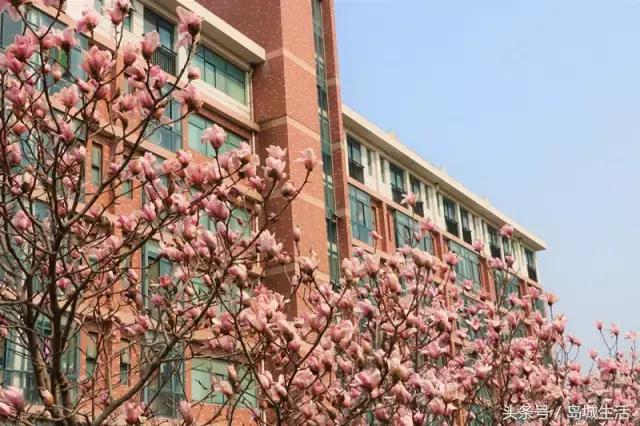 歪，别的小朋友都了解山师了，你要不要看一下呀？