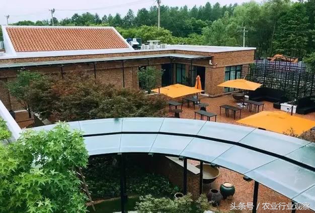 农场经营模式成功案例,农场经营模式和思路