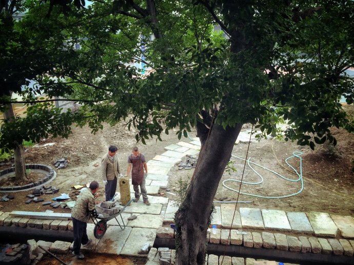 鎷滆涓滅鑽夊爞,鑺卞洯鎷滆